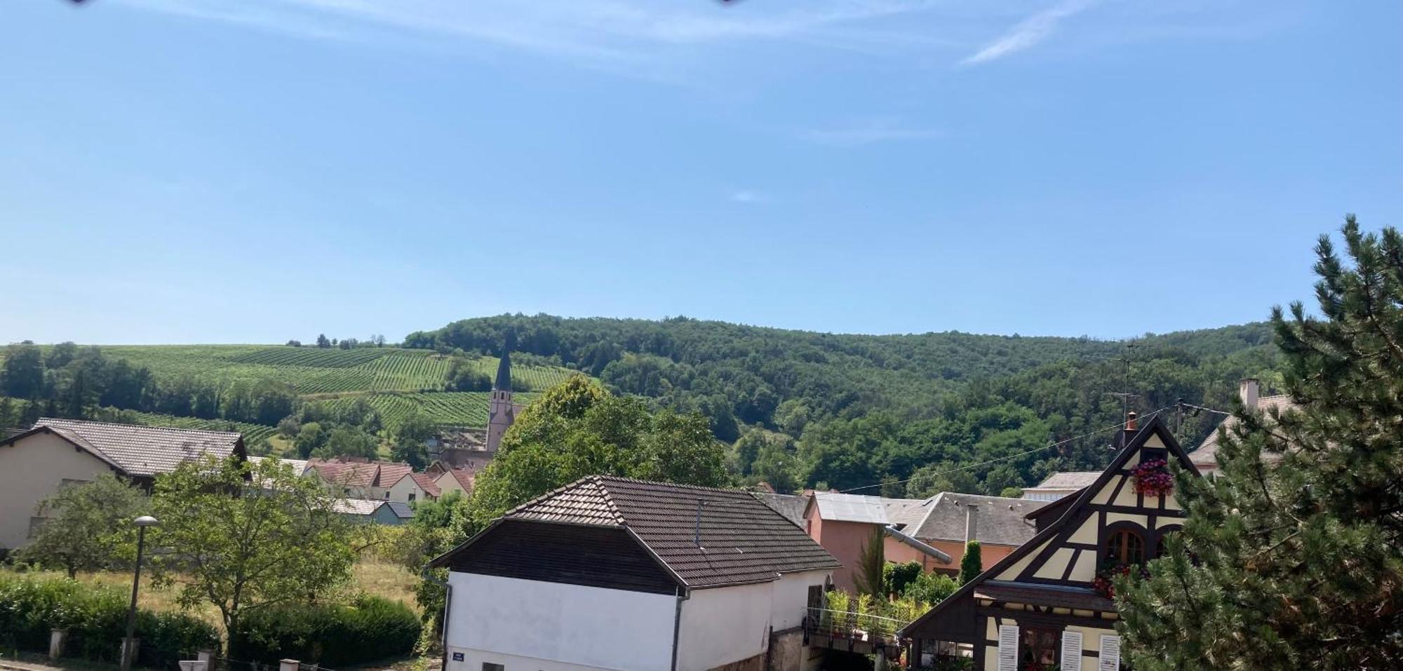 La Bonneterie Hotell Andlau-au-Val Eksteriør bilde