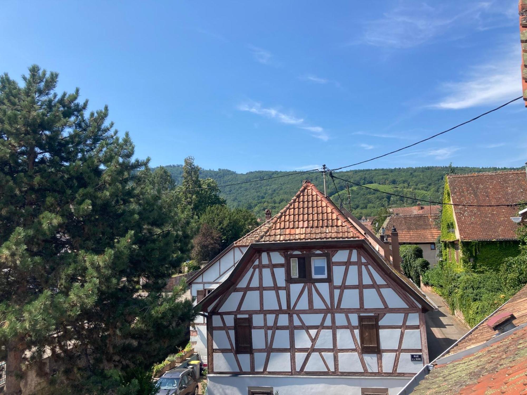 La Bonneterie Hotell Andlau-au-Val Eksteriør bilde